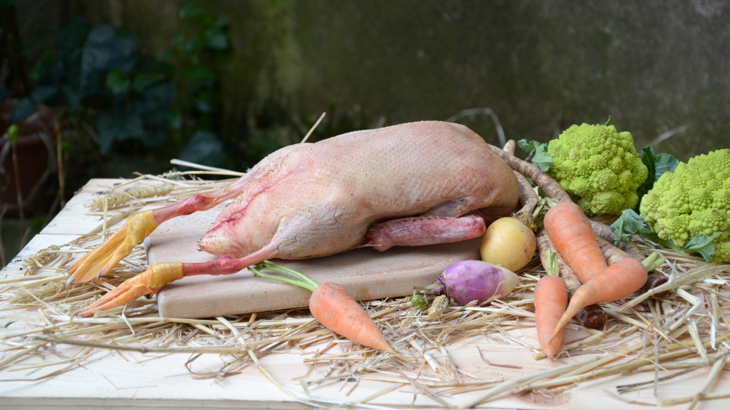 canard-entier-pierre-duplantier_photo-credit-zoko-food