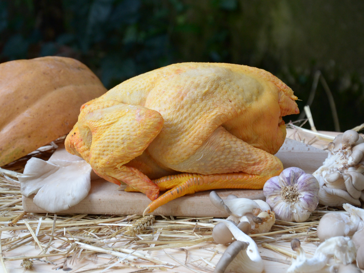 volaille-entiere-2-pierre-duplantier_photo-credit-zoko-food