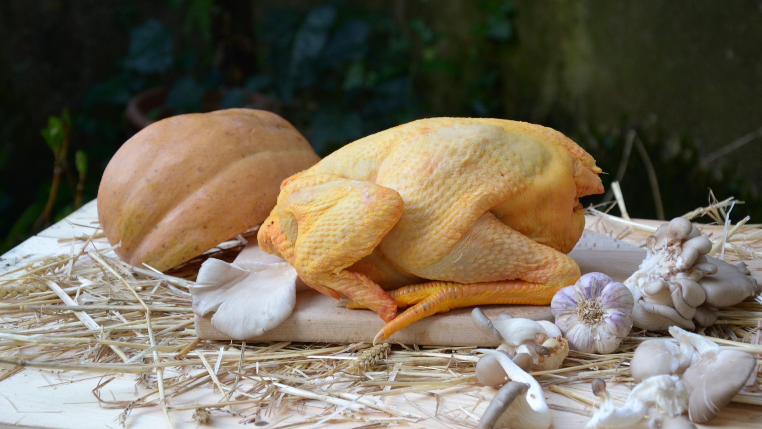 volaille-entiere-2pl-pierre-duplantier_photo-credit-zoko-food